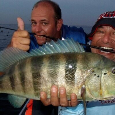 10557709_752948494763944_4383854197811250278_o