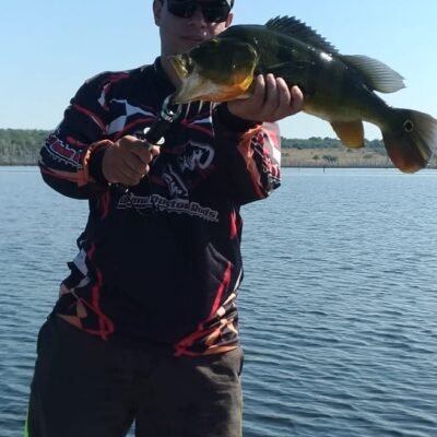 1499b558-5d37-412b-b456-8fc72f06eb81