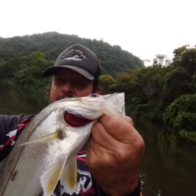 2dd23667-f15a-4167-87eb-0a22afcbc08f