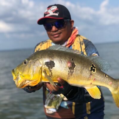 5d1fb40b-64ce-4c01-bd94-2f124aef7be1