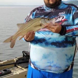 2c2410b3-2690-414d-9695-a85c2a5eb894