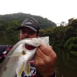 2dd23667-f15a-4167-87eb-0a22afcbc08f